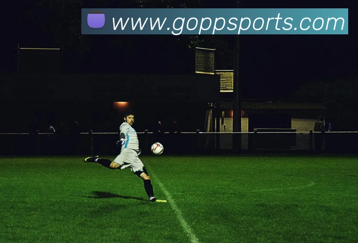 pp体育平台生态图